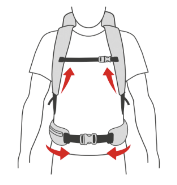 Ortovox Backpacks - Back Systems Glossary | O-Flex 2 | Clasp ...