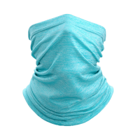Terrawest Face Scarf Mask