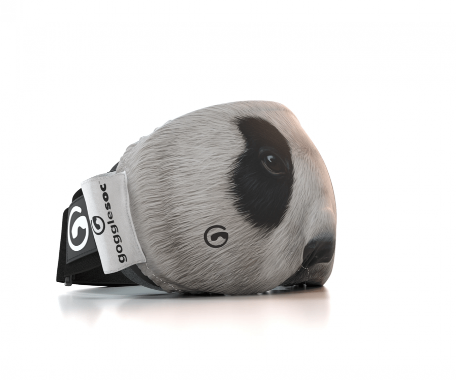 Gogglesoc - Panda