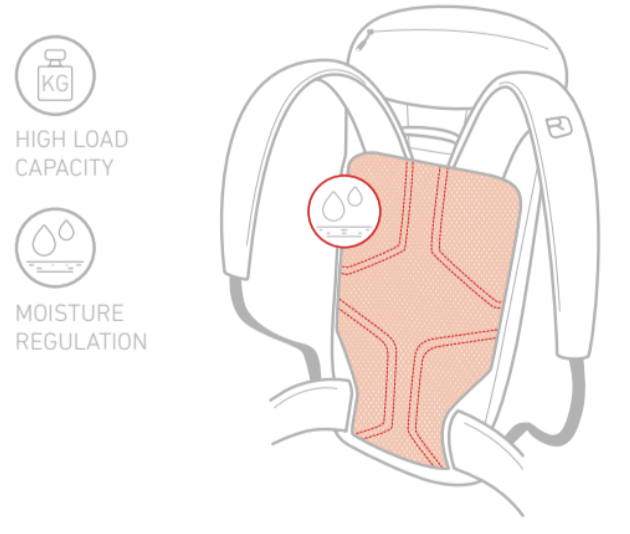 Swisswool-full-contact back system