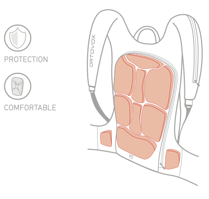 SPS-Flex Back System